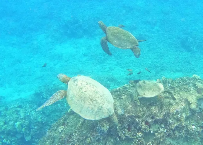 Makaha Surfside